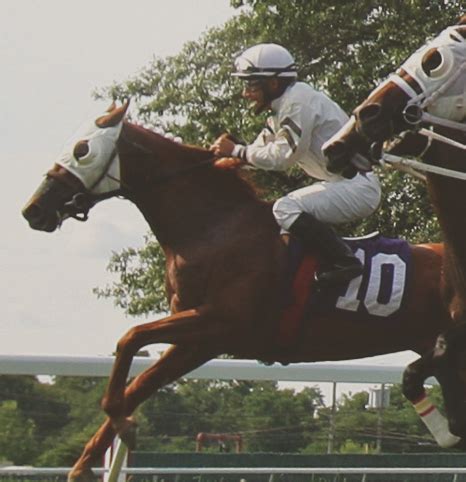 Monmouth Park Sports Wagering App Now Available .